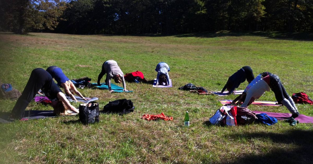 A group of students in downward-facing dog on a sunny lawn at the edge of the woods
