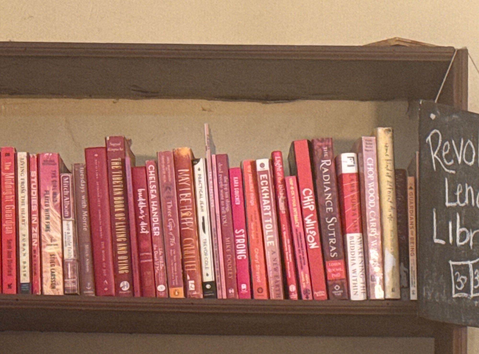 Revolution Lending Library bookshelves with handwritten sign