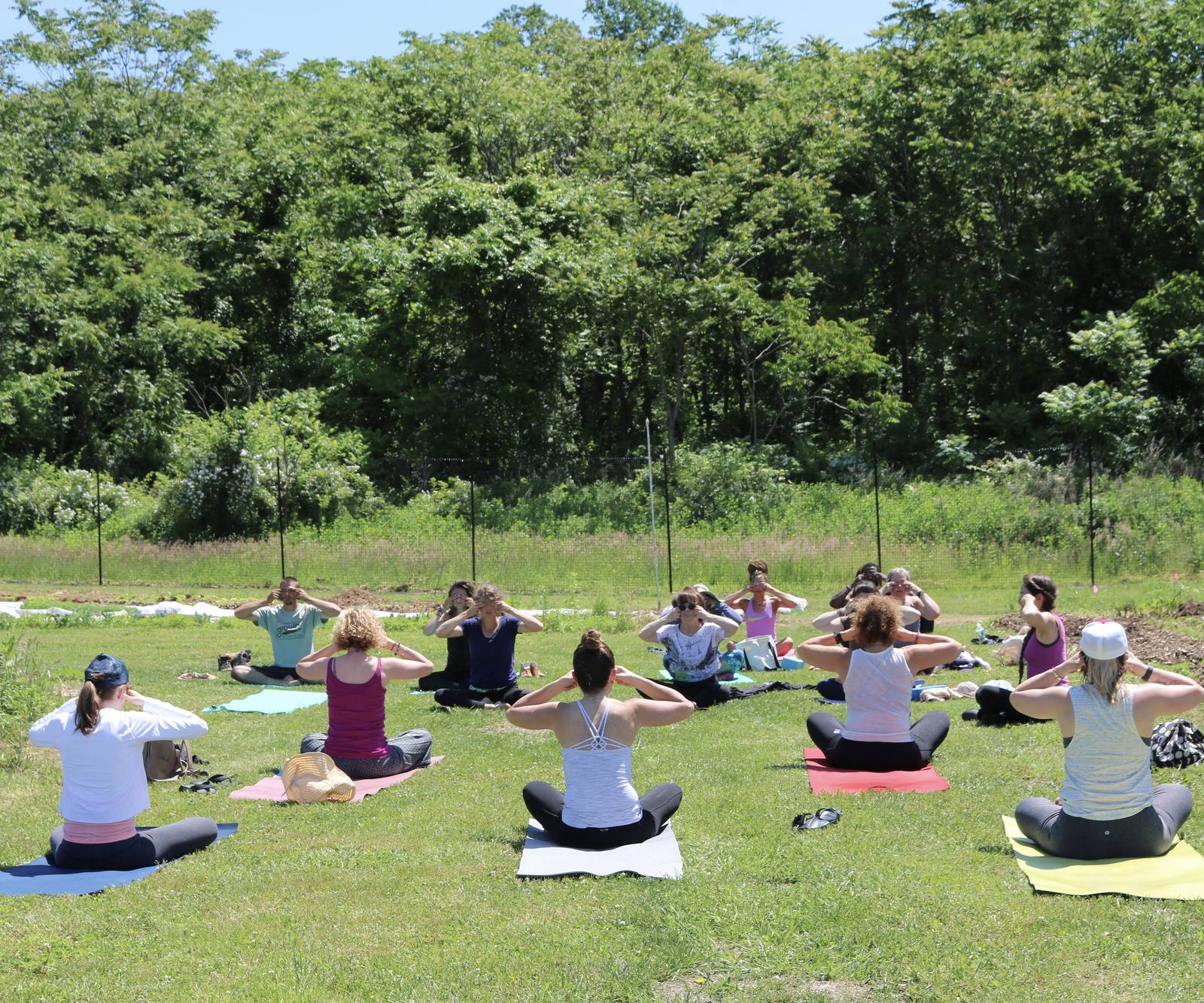 Outdoor group yoga class seated in a sunny field