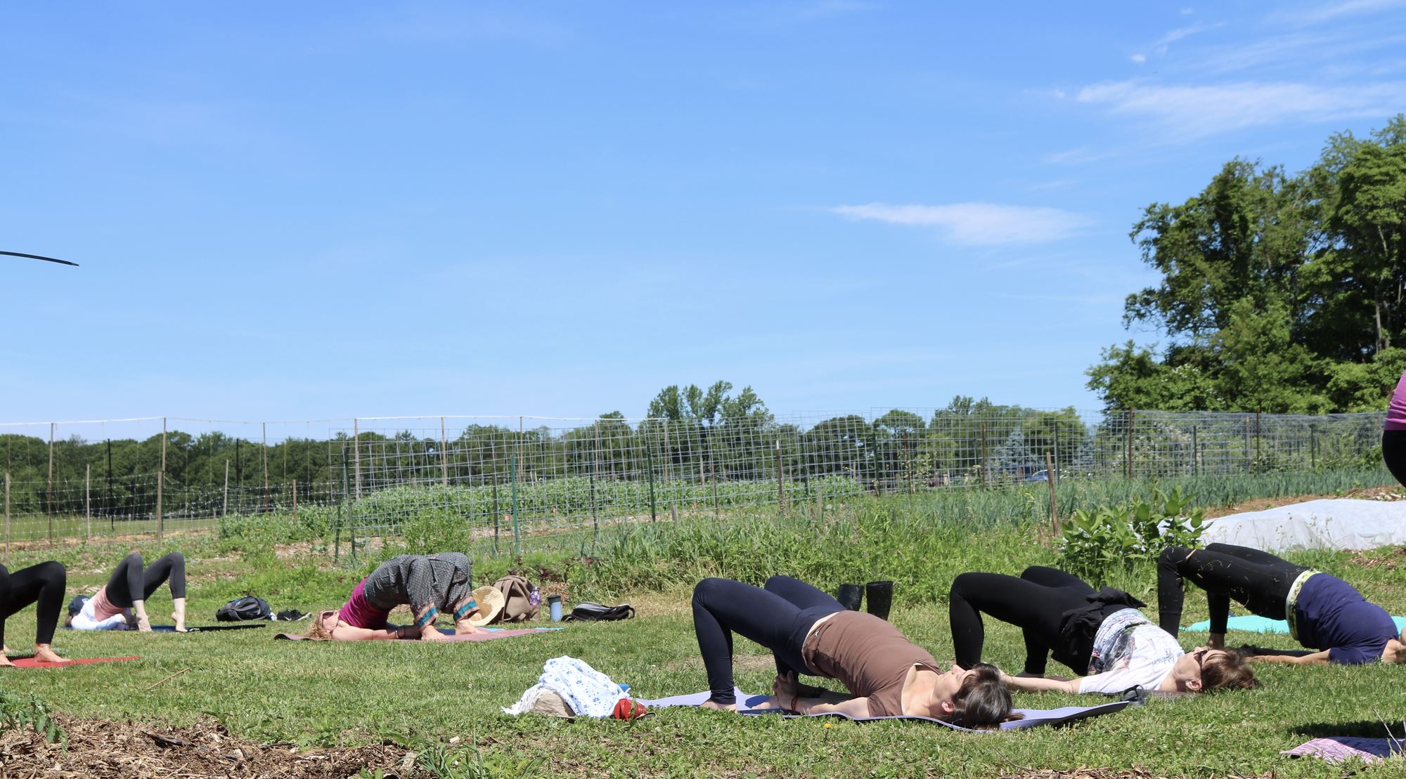 Students in bridge pose during an outdoor yoga retreat