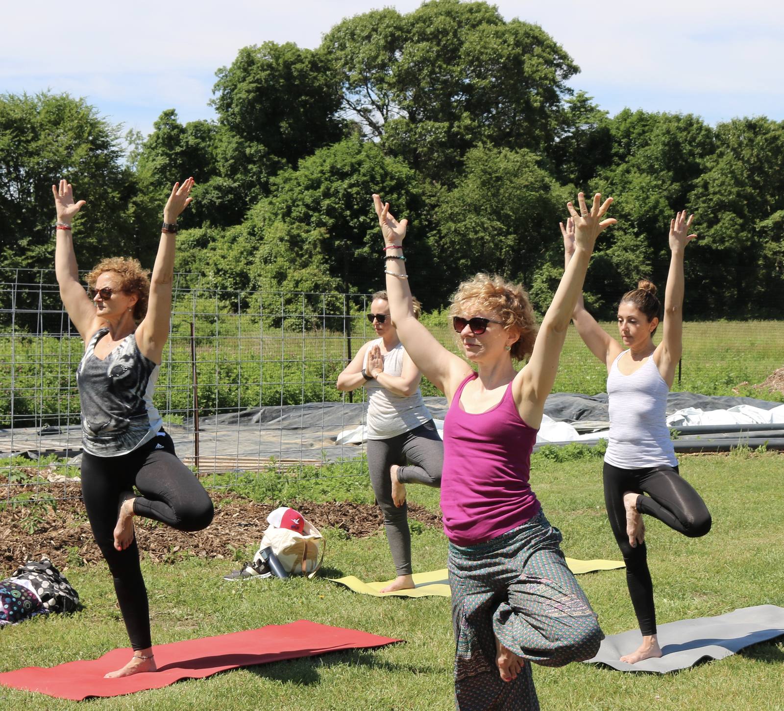 Orkestai Farm day retreat at Planting Fields