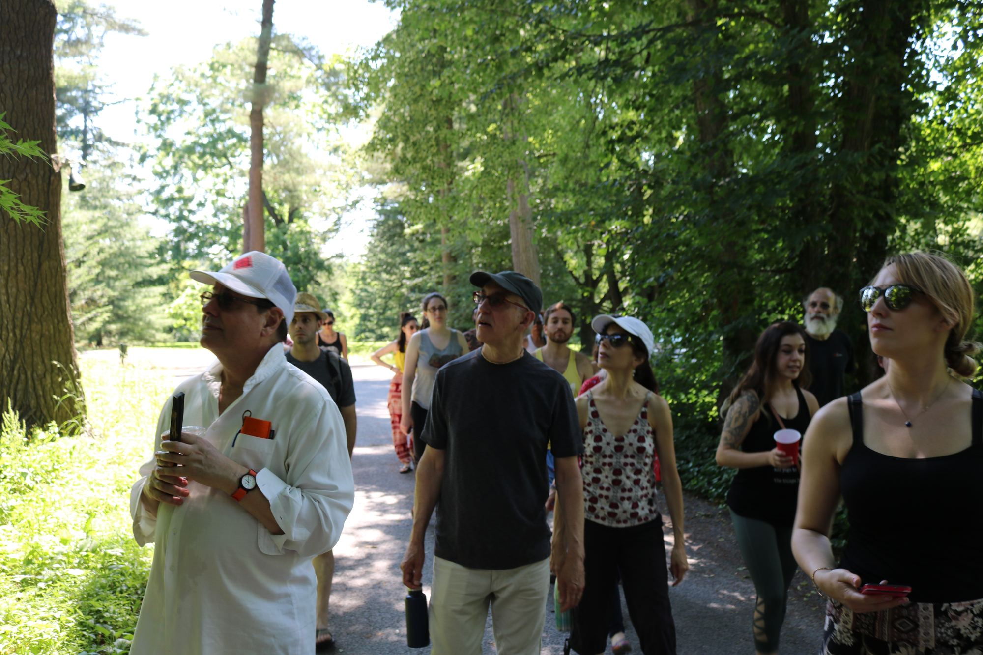 Retreat group on a guided walk beneath tall trees