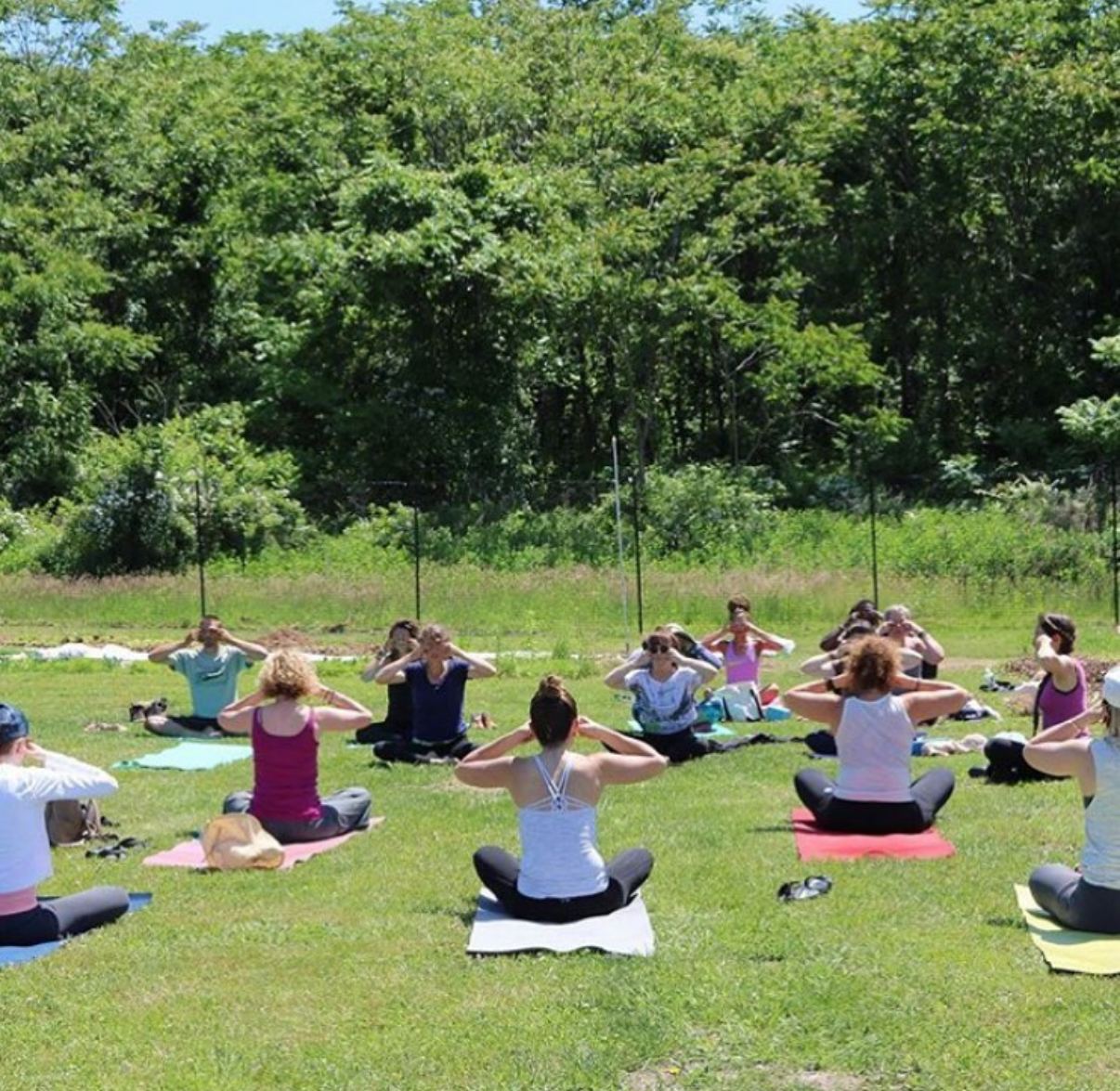Outdoor yoga in the field, students seated in nature