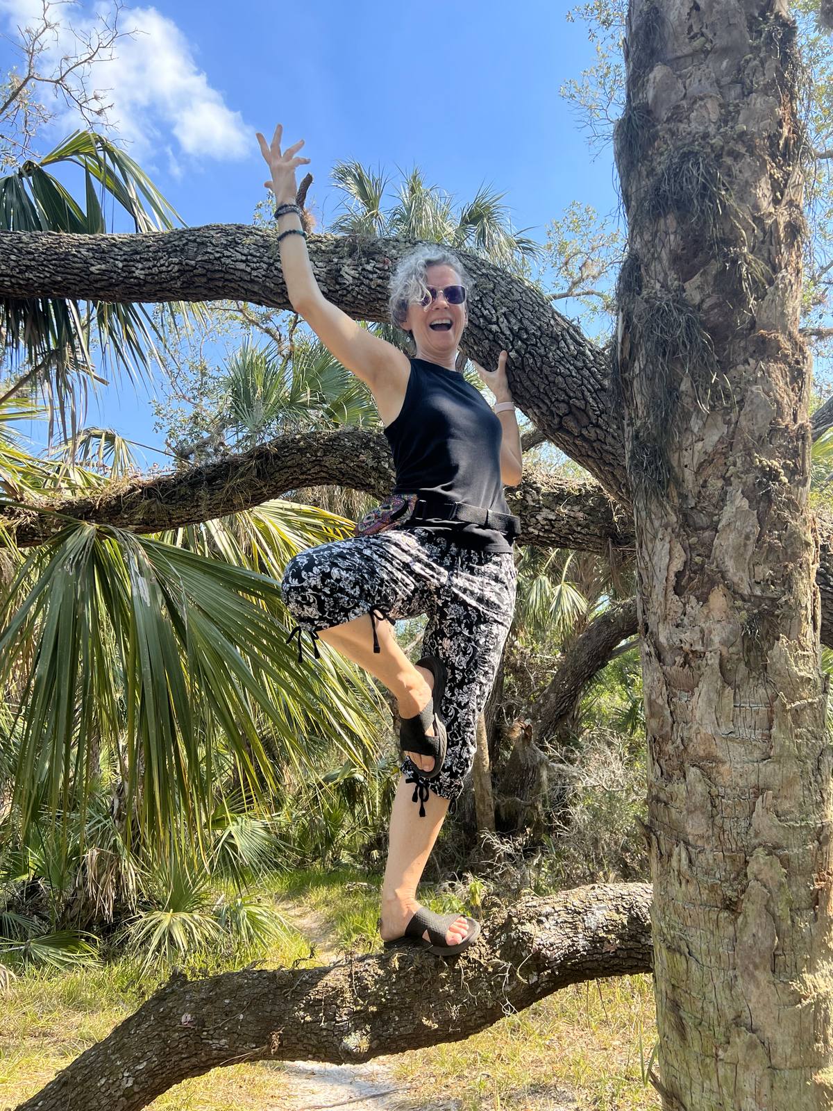 Jacqui Byrne climbing a tree by the beach
