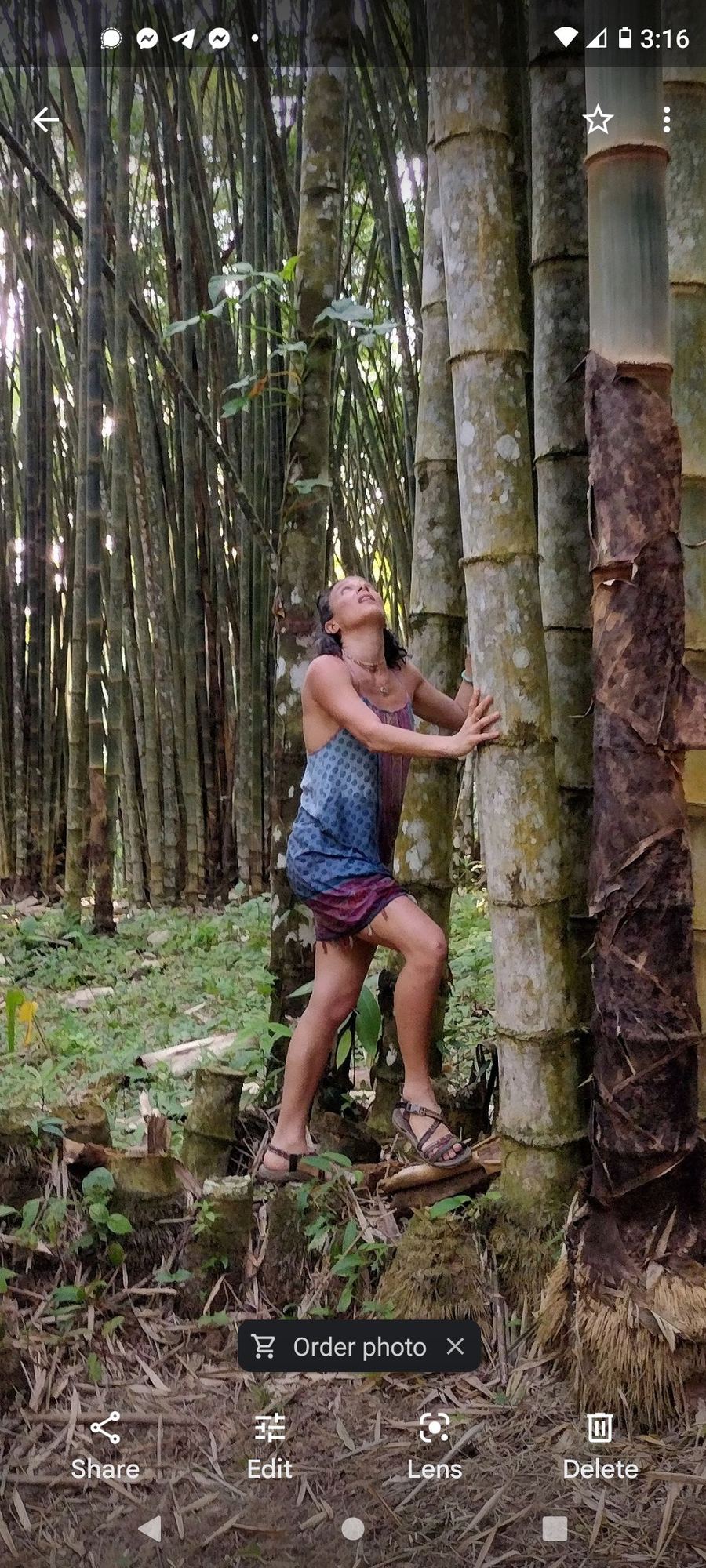 Micheline DeBono in a bamboo forest