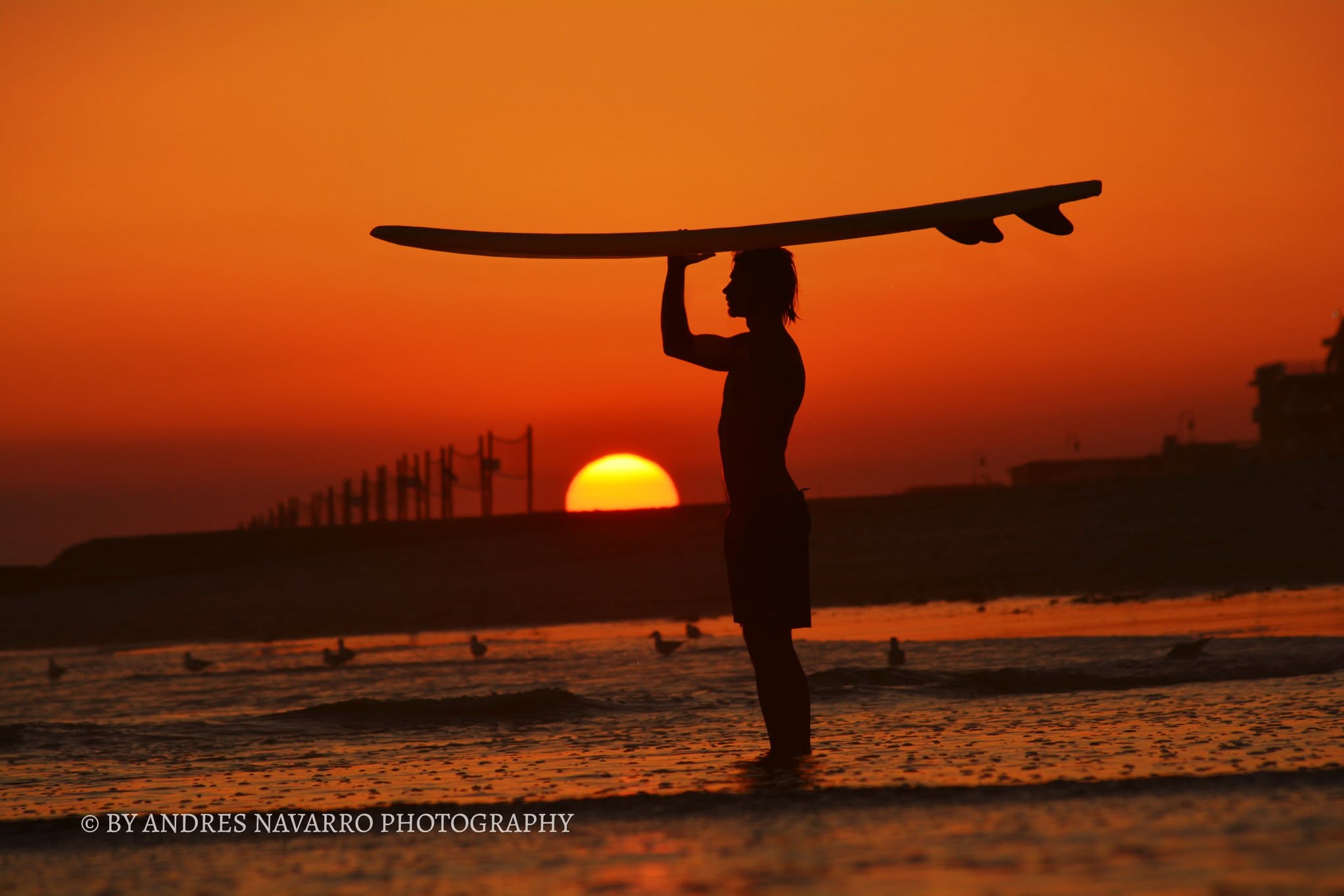 Sylvia Ehrhart holding a surfboard at sunset